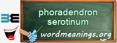 WordMeaning blackboard for phoradendron serotinum